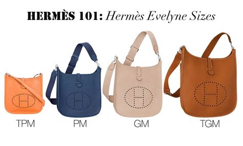 difrence between the hermes evelyn pm and gm|hermes evelyne price.